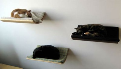 Kočičí postel jako designová záležitost / Váš mazlíček si ji zaslouží!