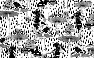 Monalis jako „fantaskní déšť“