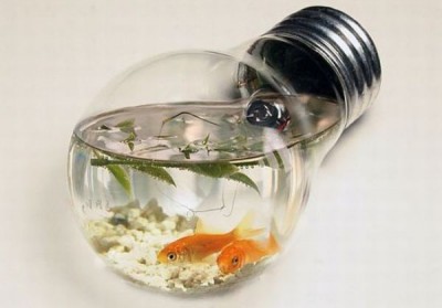 Kreativně řešená akvária baví nejen vaše ryby!