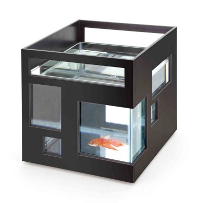 Originální skleněné akvárium pro rybí mazlíčky