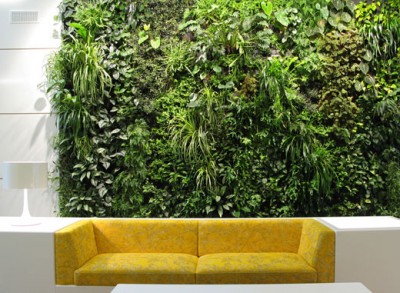Zelené stěny - originální i praktický doplňěk interiéru