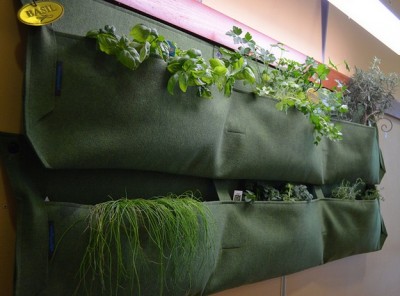 Prakticky řešená zelená stěna s bylinkami. Autor: Happy Krissy