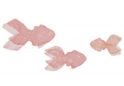 dekorace Fish